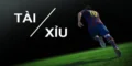 gioi-thieu-tong-quan-ve-tai-xiu-3-trai